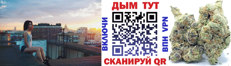 Каннабис семена  Губкинский 
